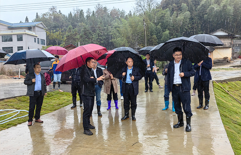 江西省生态环境厅生态环境监测处处长程波平一行莅临我司定南上村稀土尾水处理站视察调研